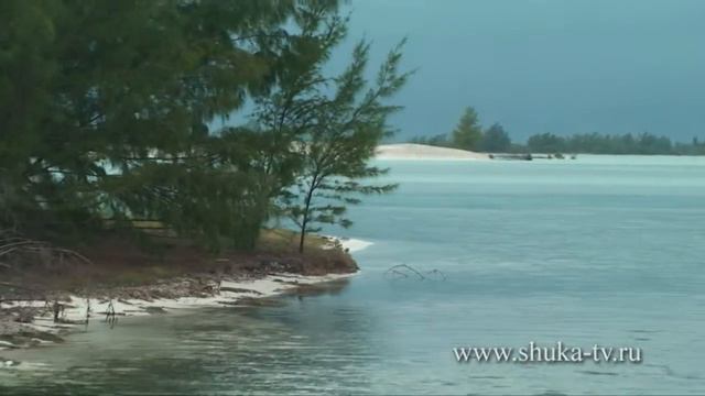 Подводная охота на Кубе часть 3. Spearfishing in Cuba смотреть онлайн