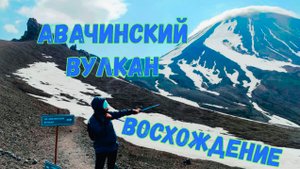 Авачинский вулкан. Самостоятельное восхождение без гида и опыта.