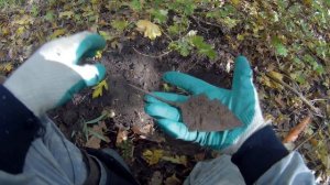 МЕТАЛЛОИСКАТЕЛЬ Minelab CTX 3030 в осеннем лесу