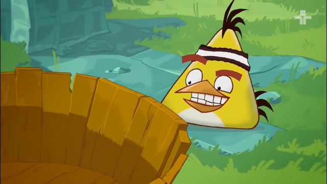 Angry Birds No Quintal Da Cultura Capítulo 1 (23/01/2023) смотреть онлайн