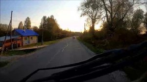 лес в шабалино №2