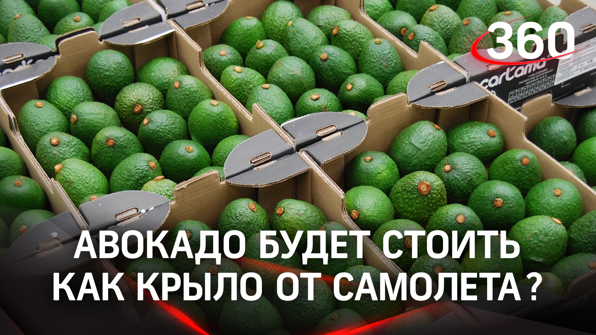 Глобальный дефицит авокадо: когда в Москве он будет по цене крыла самолёта?