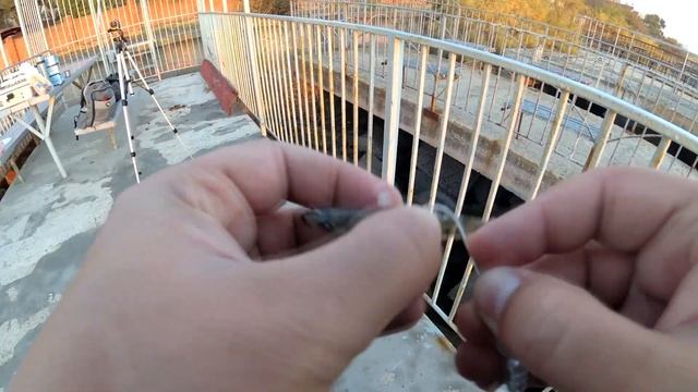 Рыбалка на КАМБАЛУ с берега! смотреть онлайн