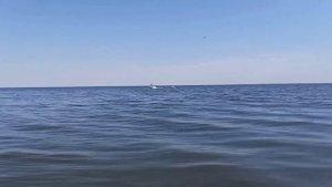 Прогресс 4. Лодочный мотор Ямаха (Yamaha) 40 VEOS. Водная ватрушка. ПОКАТУШКИ.