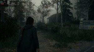 Alan Wake 2 Linux Performance Overview