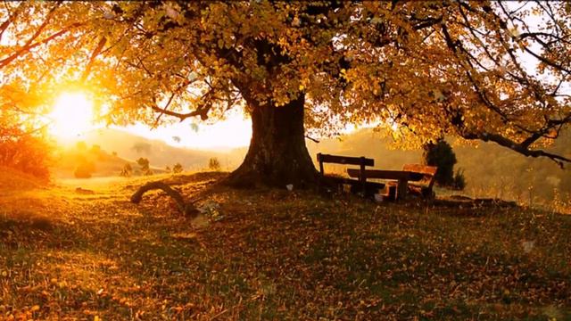 Музыка, написанная сердцем. Эдгар Туниянц смотреть онлайн