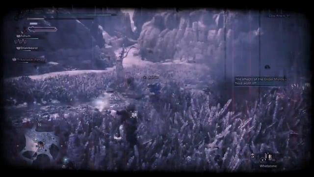 Tempered Savage Deviljho, Solo with Dual Blades, 11' 51" смотреть онлайн