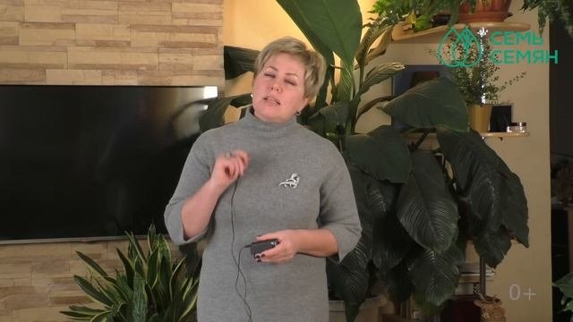 ЧТО ТАКОЕ МИМУЛЮС И ПОЧЕМУ ОН НУЖЕН В ВАШЕМ САДУ!