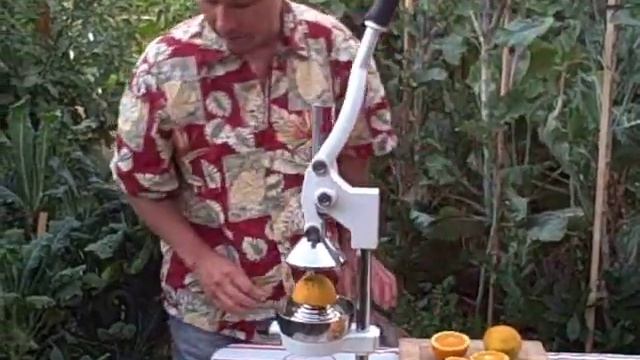 Hand Operated Olympus Citrus Press - The Best Orange Lemon Juice Extractor