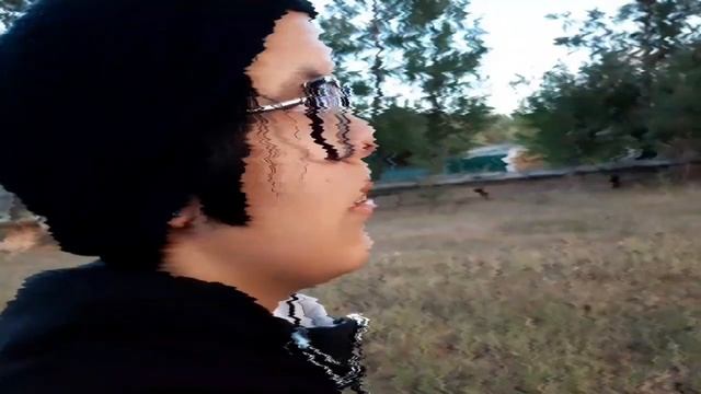 тайна тайги