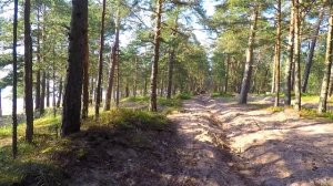 ЛУЧШИЙ ПЛЯЖ В СОСНОВОМ БОРУ / ЛИПОВО