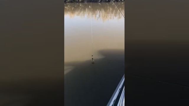 Ян Альбертович Дзгоев ловит арахъхъ Барахъхъ смотреть онлайн