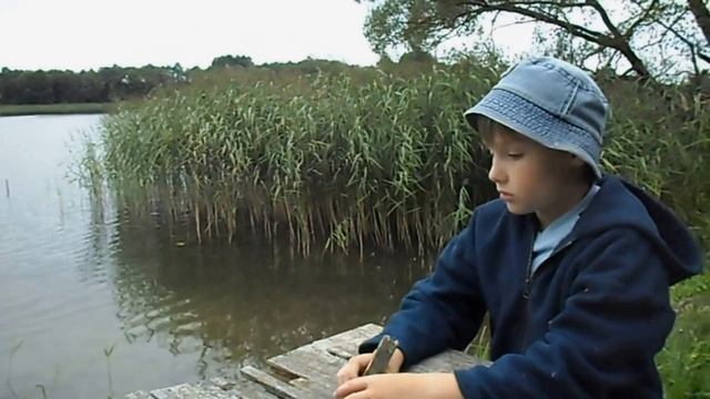 На дачЕ в реальной жизни Растения против зомби #lifebelarus смотреть онлайн