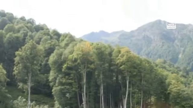 Детские   Колыбельная Медведицы смотреть онлайн