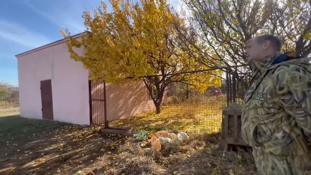 Лама Рома из Херсона оказался ТАКИМ КОНТАКТНЫМ , его просто обязаны полюбить все посетители))) смотреть онлайн