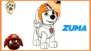 Как Нарисовать Щенячий Патруль ? Зума Paw Patrol Zuma Drawing and Coloring for Kids ?