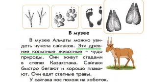 Обучение грамоте. 1 класс Урок №18. Тема: Предложение и слово