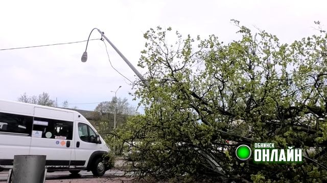 Деревья повалило на вокзале в Обнинске - 12.05.2021 смотреть онлайн