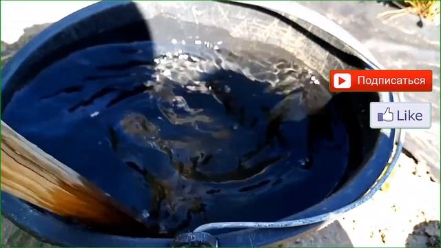 Как удобрять клубнику после пересадки смотреть онлайн