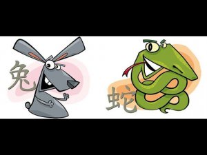 КТО ТЫ ЕСЛИ РОДИЛСЯ В ГОД КРОЛИКА , ДРАКОНА ИЛИ ЗМЕИ ПЛЮС 12 ЗНАКОВ ЗОДИАКА