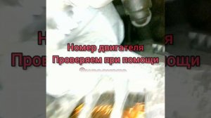 BMW X3 M-КА VIN И НОМЕР ДВИГАТЕЛЯ.