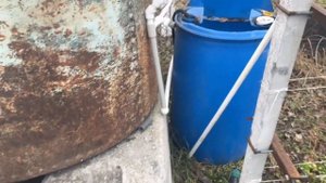 Мой опыт с Малиной. Маравилла и Энросадира зимой.