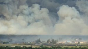 Горит лес в Липецкой области