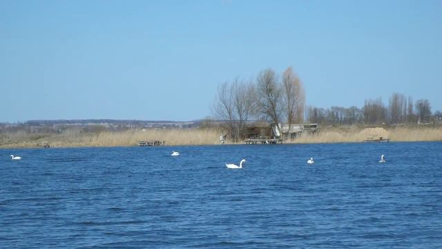 Став панталія смотреть онлайн