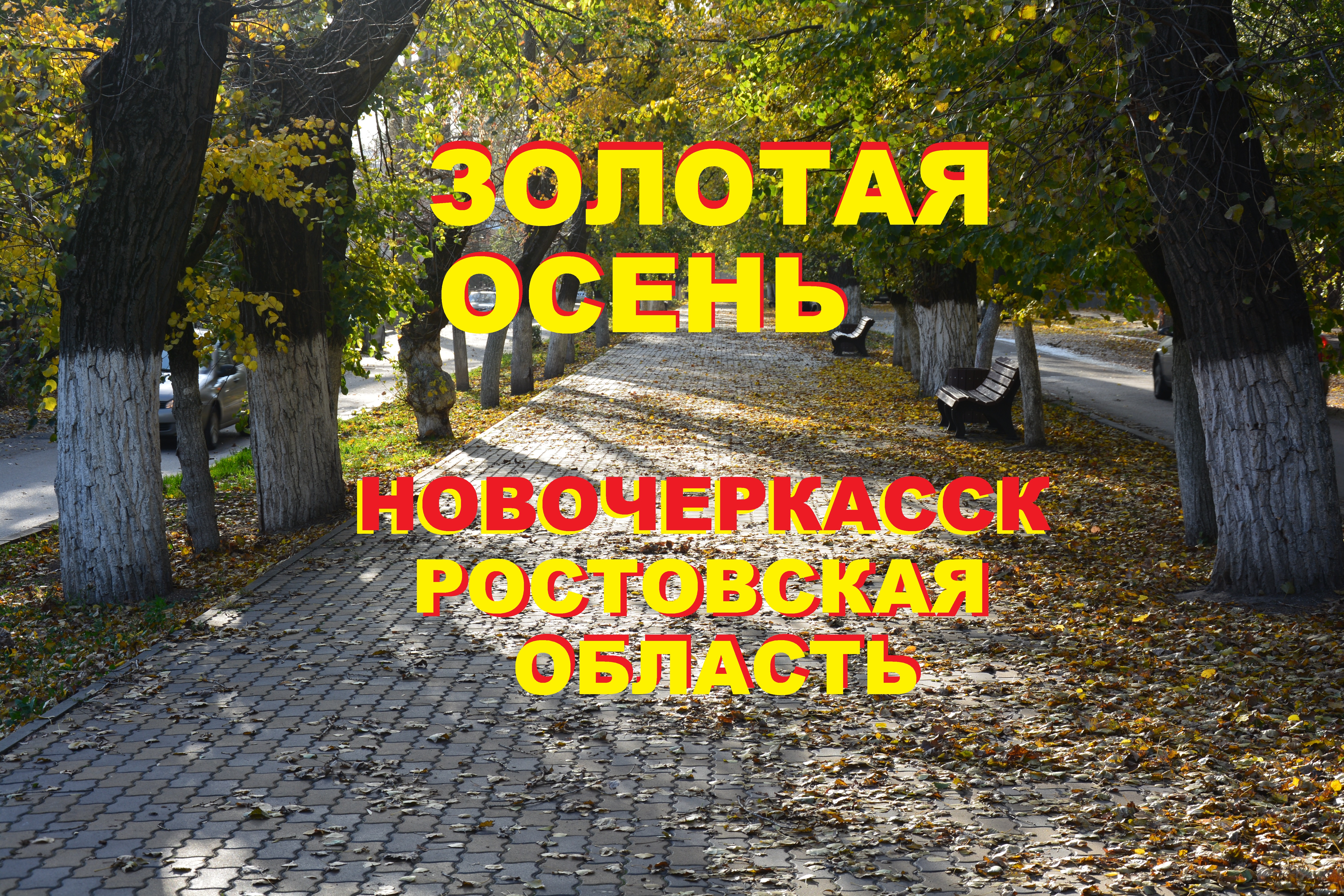 Золотая осень в городе Новочеркасск Ростовской области