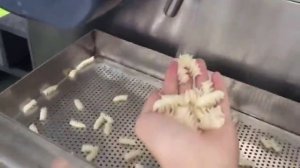 Оборудование для производства макаронных изделий