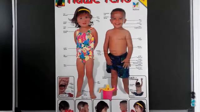 Части тела. Parts of body.Часть 3. Загадки. смотреть онлайн