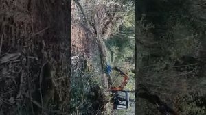 hanix h 15b plus 2 con pinza legna