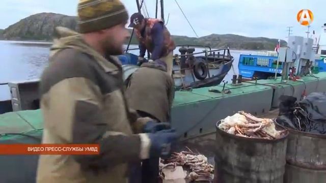 Задержаны браконьеров, которые промышляли камчатским крабом в акватории Баренцева моря 04.08.2015 смотреть онлайн