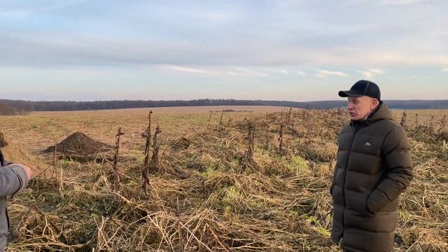 Використання сили рослин для підвищення родючості ґрунту | No-till на Волині