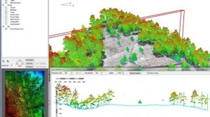 La gestion forestiere par l'imagerie geospatiale - Sortez des sentiers battus avec ENVI.