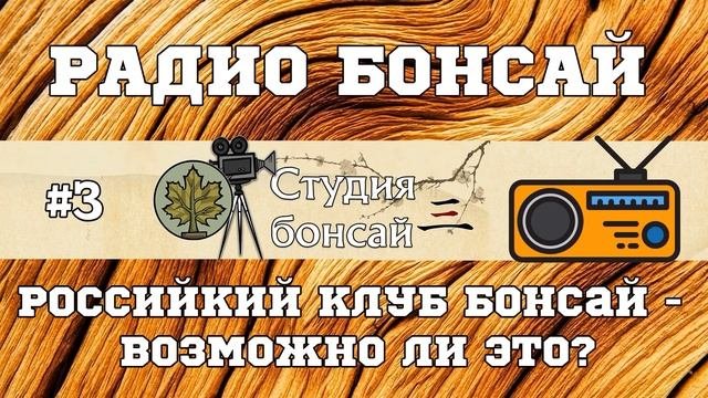 Российский клуб бонсай, возможно ли это? / Радио подкаст - Павел Горбачев