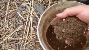 Фидерная уловистая прикормка.  Правильный состав.