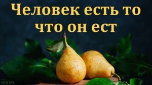 Человек есть то, что он ест. Ю. В. Свиридченко. МСЦ ЕХБ