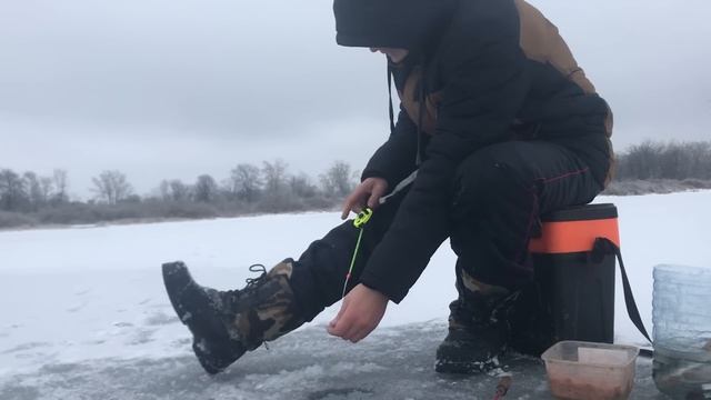 Первый лед. ТОЛЬКО УСПЕВАЙ ОПУСКАТЬ! ПРИКОРМИЛ ХЛЕБОМ и дело пошло.  ПЛОТВА и ОКУНЬ на мормышку смотреть онлайн
