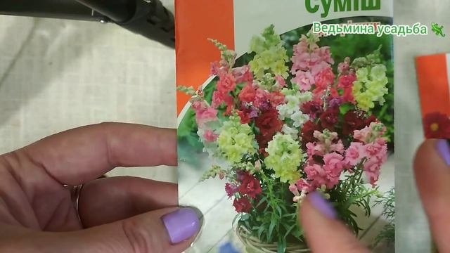 ?СЕМЕНА ОДНОЛЕТНИКОВ, КОТОРЫЕ ЦВЕТУТ ДО САМЫХ ЗАМОРОЗКОВ??