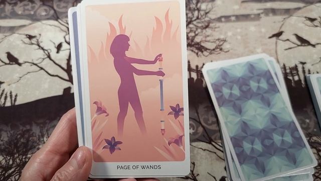 Tina Gong Tarot//Barnes & Noble ( Exclusive) Tarot book & Deck reveal!  What exactly do you get??