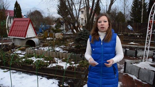 Теплая зима: драматические последствия
