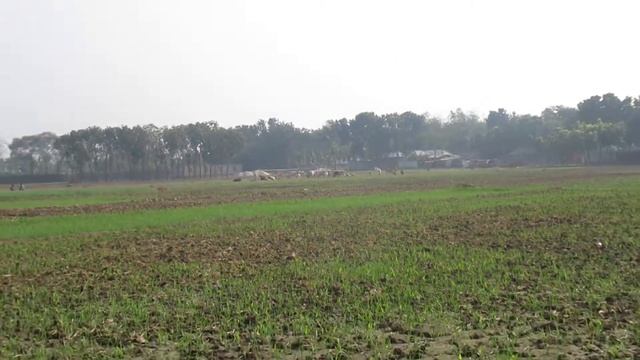 Canon PowerShot SX620 HS zoom test смотреть онлайн