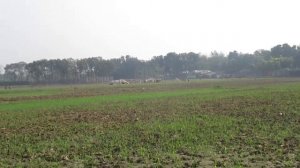 Canon PowerShot SX620 HS zoom test