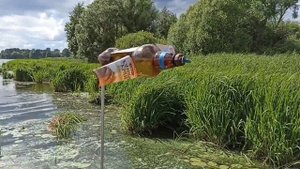 отпугиватель птиц из пластиковой бутылки за 10 минут.