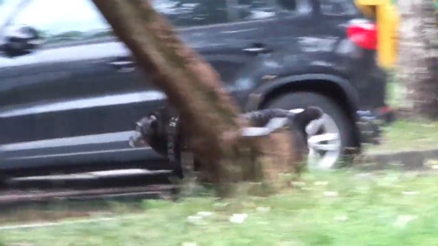 Чей алабай? смотреть онлайн