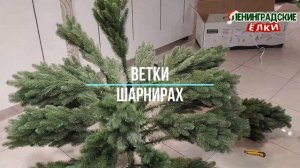 Ель Барнелло Люкс видео в собранном виде