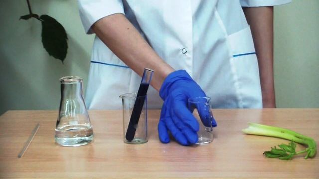 Цветной салат смотреть онлайн