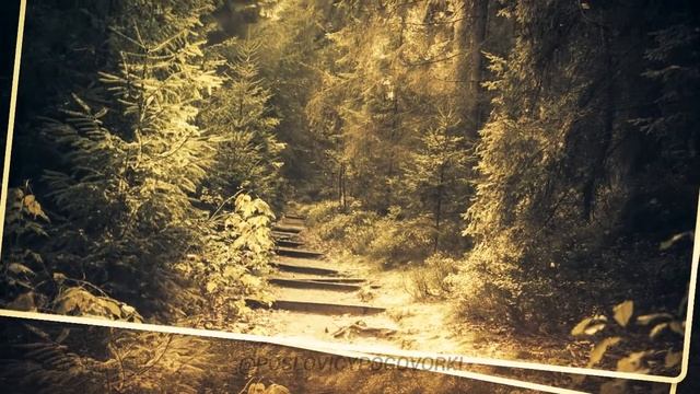 ЛЕС РУБЯТ — ЩЕПКИ ЛЕТЯТ: смысл и значение смотреть онлайн