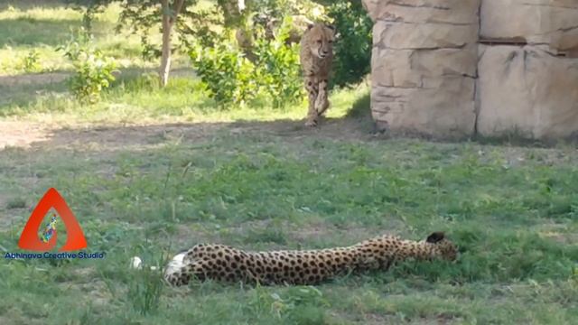 DUBAI SAFARI PARK Adventure||Dubai Safari Park Zoo|| A complete Tour|| Dubai Safari Park Visit
